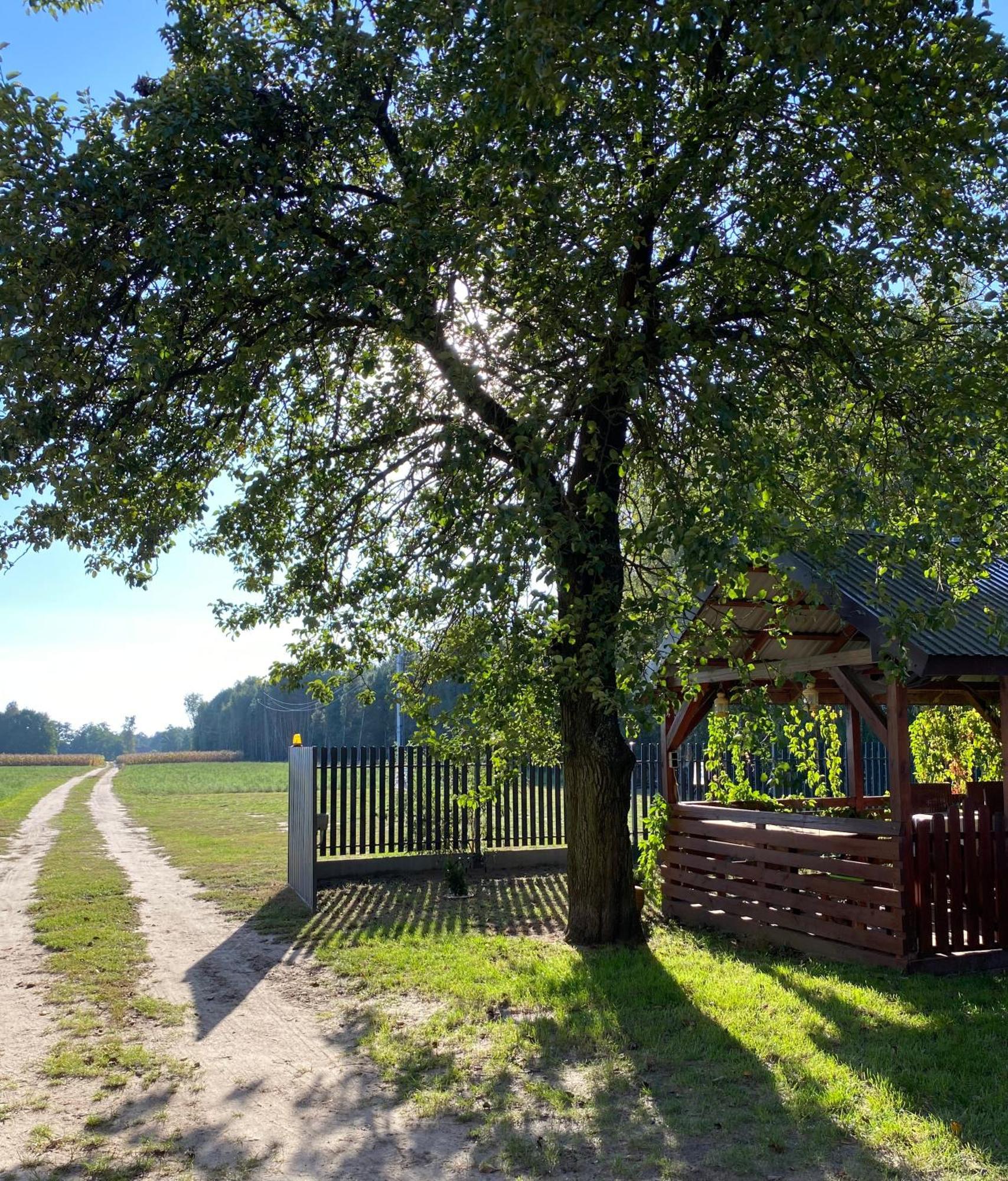 Maciejowka Gospodarstwo Agroturystyczne Poddebice Buitenkant foto