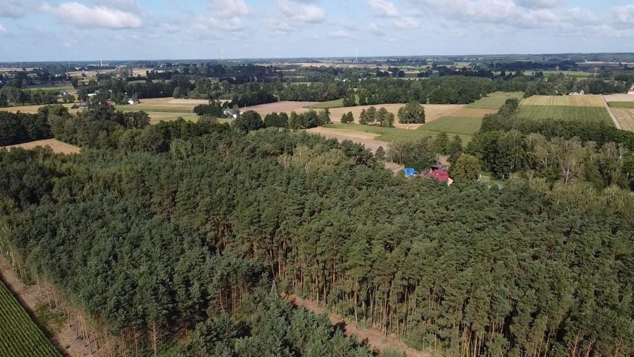 Maciejowka Gospodarstwo Agroturystyczne Poddebice Buitenkant foto